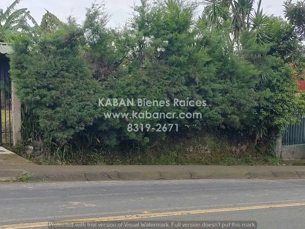 Land for sale. La Unión-Cartago, Dulce Nombre