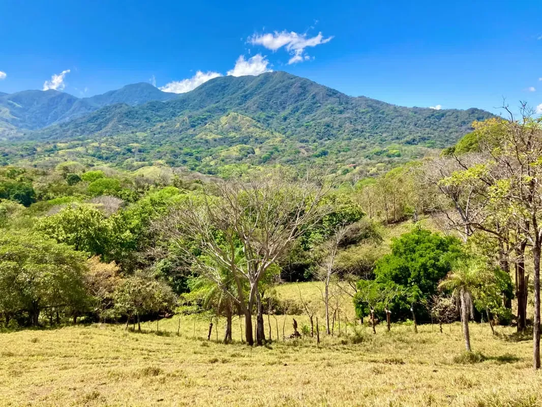 Farms for Sale in Turrubares for Development