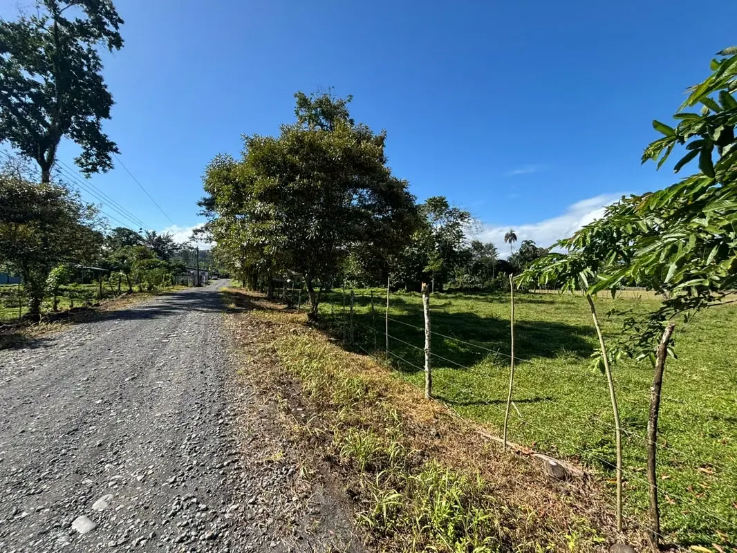 Beautiful property for sale located near La Marina School.