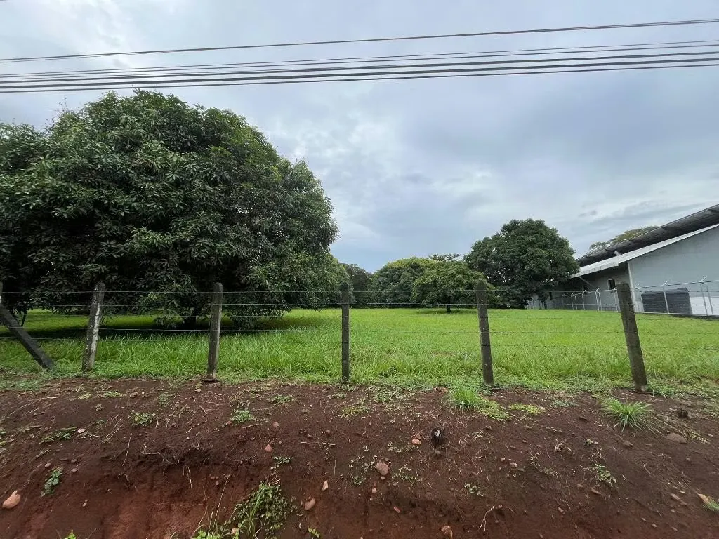 Quinta en venta Orotina