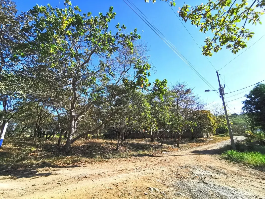 Venta de lote en Orotina 2.224 m2