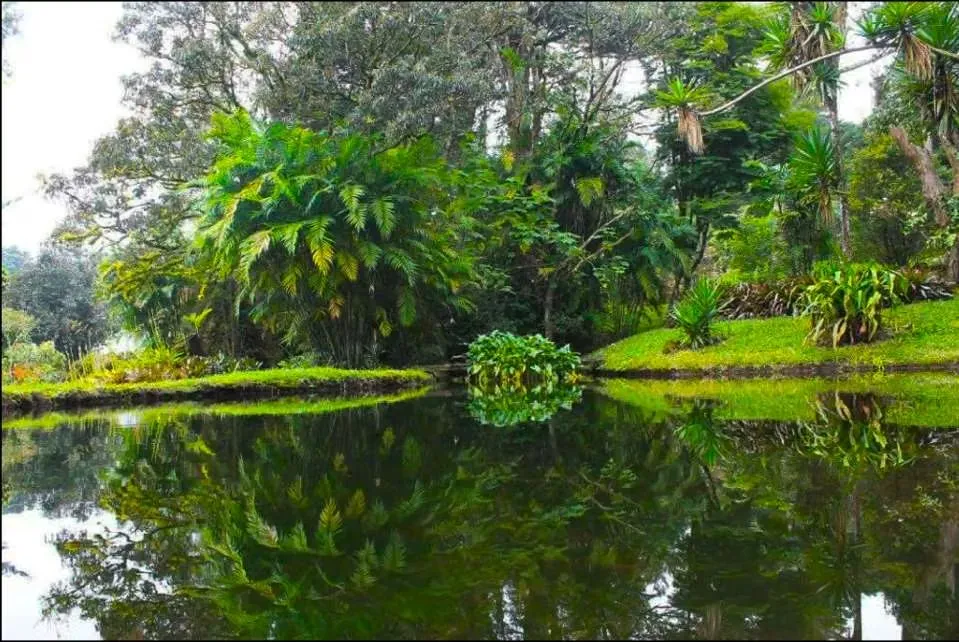Venta de finca en los Ángeles San Rafael, Heredia