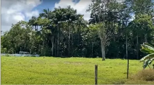 Venta de Finca muy cerca del mar, en Westfalia, Limón