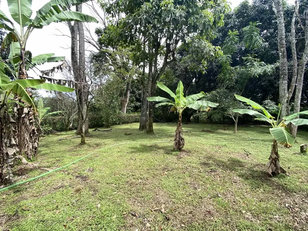 For sale, flat land in Sabana Larga de Atenas, Alajuela