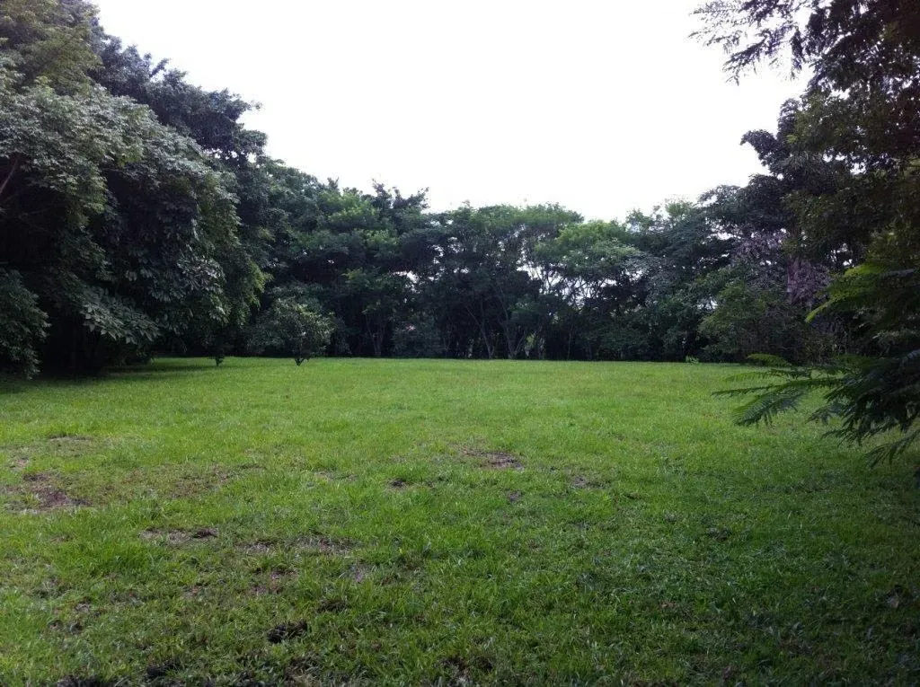Venta de Lote en Piedades Santa Ana