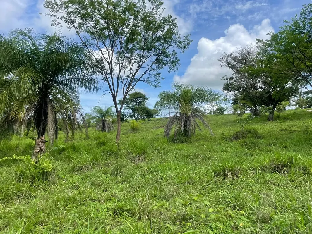 INVERSIONISTAS/ Venta terreno La Ceiba, con 300 pajas de agua