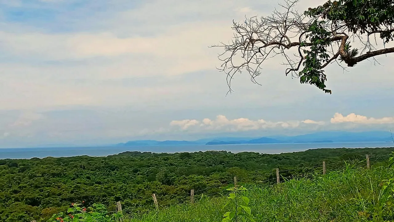 Imagine waking up every day to a panoramic view of the majestic Gulf of Nicoya, surrounded by mangroves, lagoons, and tropical forests—home to some ...