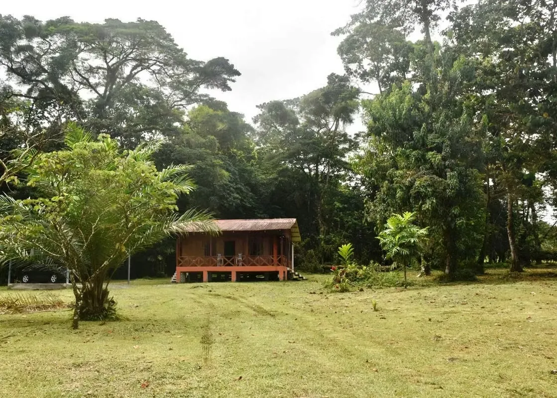 Lot for sale in Guapiles WITH CABIN INCLUDED