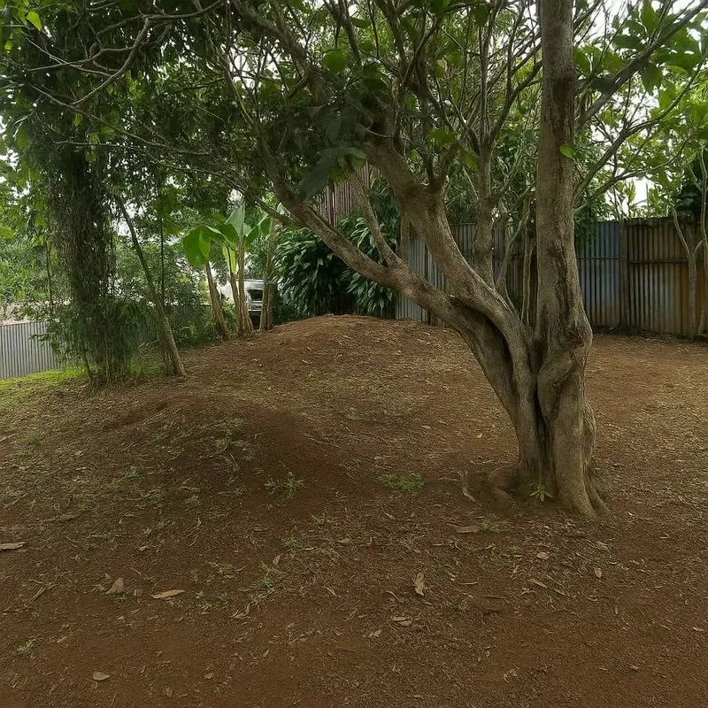 LOTE SAN ISIDRO DE HEREDIA, esh