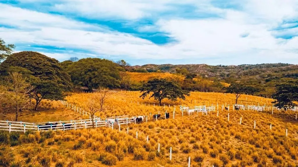 PROPIEDAD EN VENTA EN FORTUNA DE BAGACES, GUANACASTE
