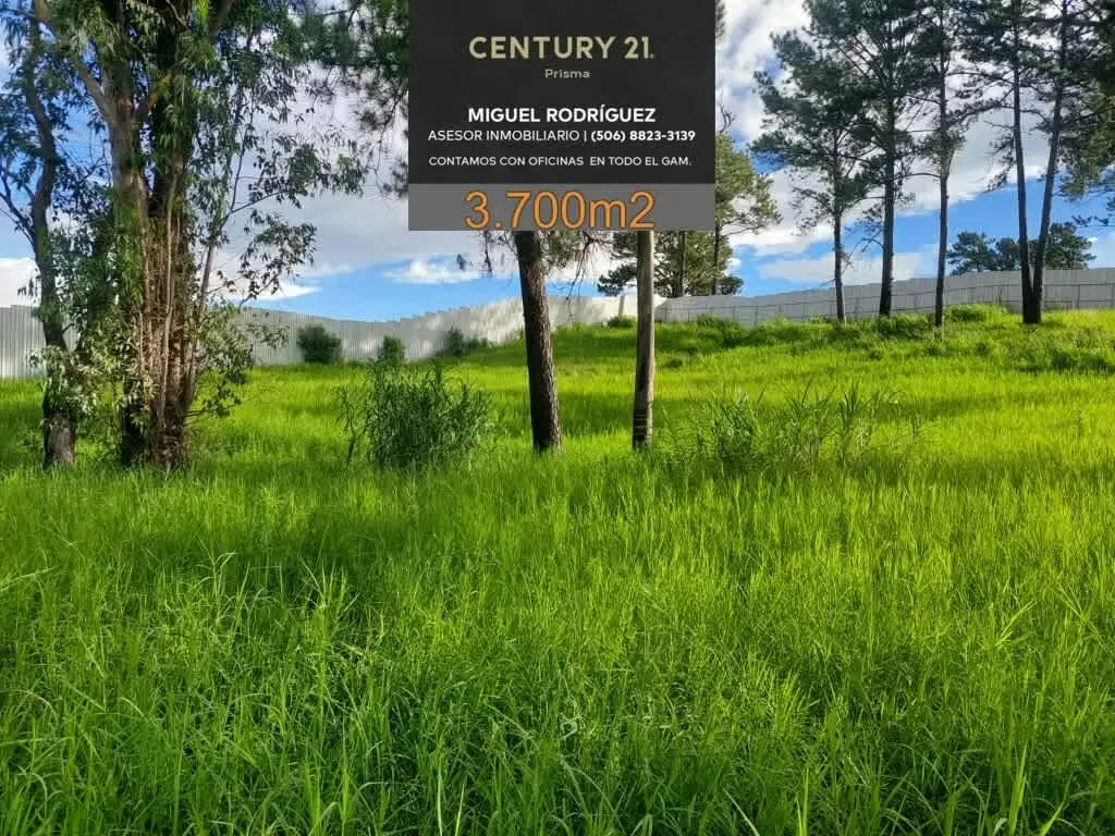 COMMERCIAL AND INDUSTRIAL LAND SAN JOSE, PAVAS 3,700m2