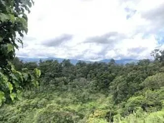Terreno en Pinares de Jerícó de Desamparados, San José