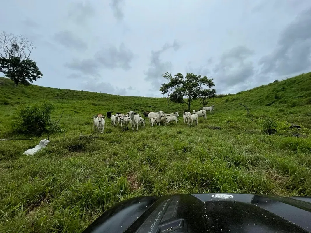 MA Asesorías vende finca en Corazón de Jesús, Sarapiquí de Alajuela