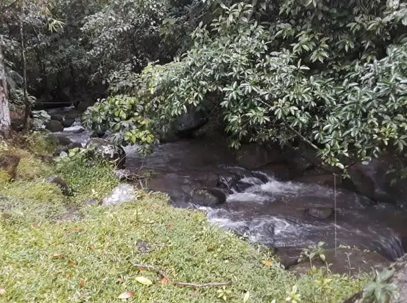Finca de 13,800 m² con Quebrada y Naturaleza en Venecia San Carlos