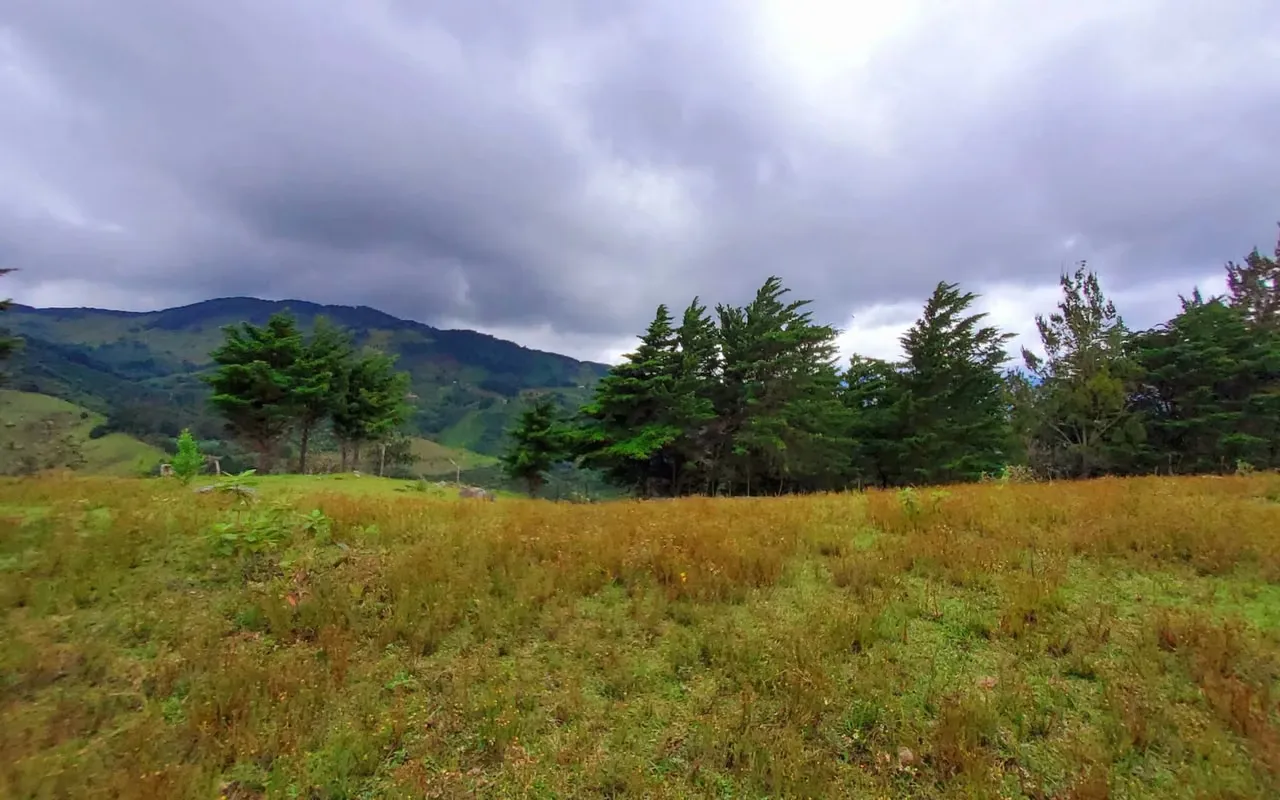 Beautiful Mountain Property for Sale in Corralillo, Cartago