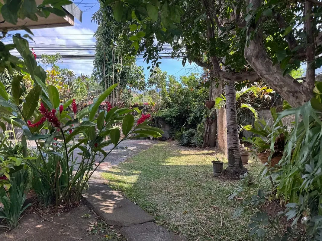 COMMERCIAL PROPERTY IN RIO ORO DE SANTA ANA 1.090m2 — photo 3