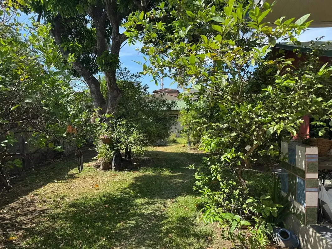 COMMERCIAL PROPERTY IN RIO ORO DE SANTA ANA 1.090m2 — photo 4