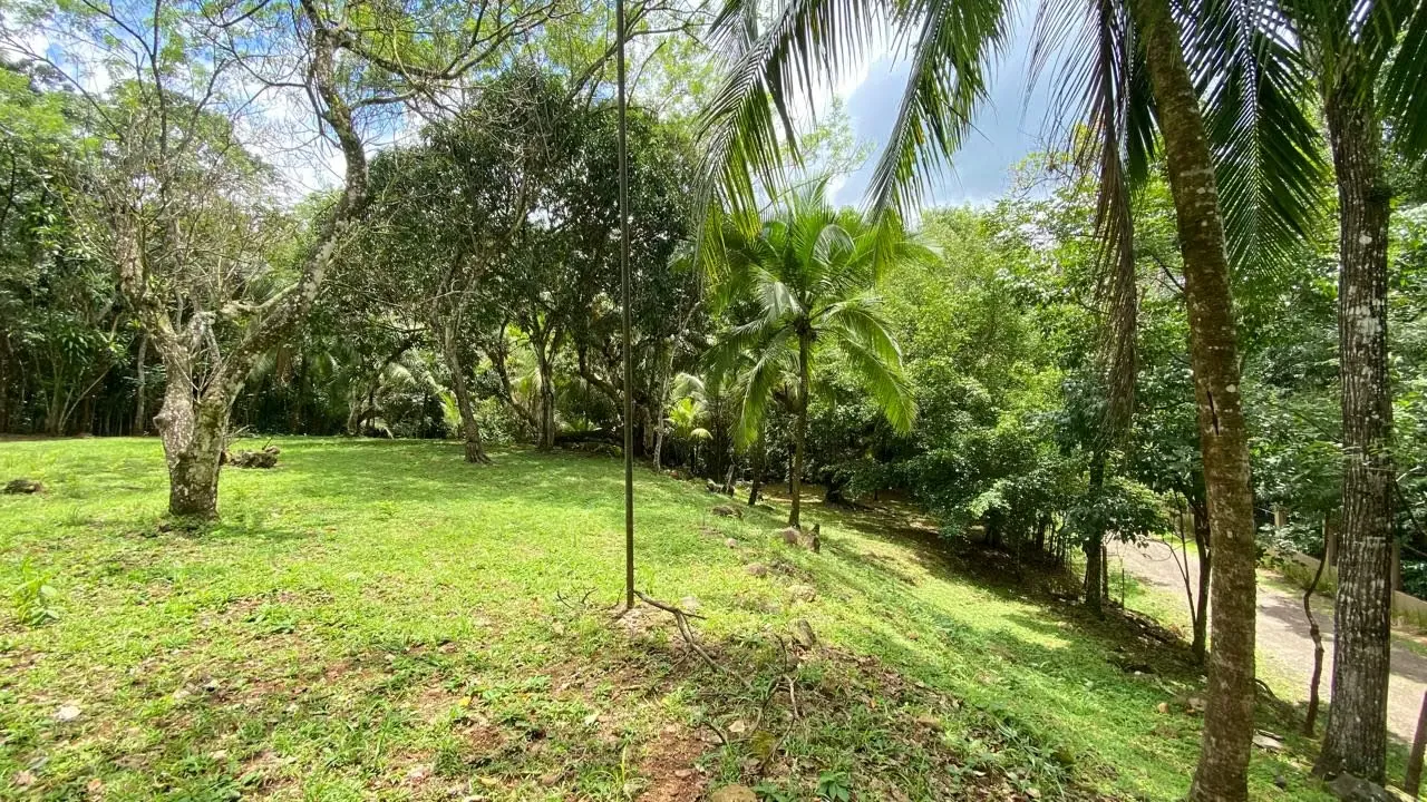 Lote en venta en San Mateo de Alajuela -Ideal para proyecto de retiro.