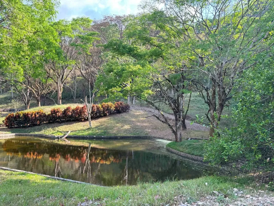 Opportunity to develop a tourism project or a low-density residential community on a 6.1-hectare parcel (approx. 61,000 m²) ...