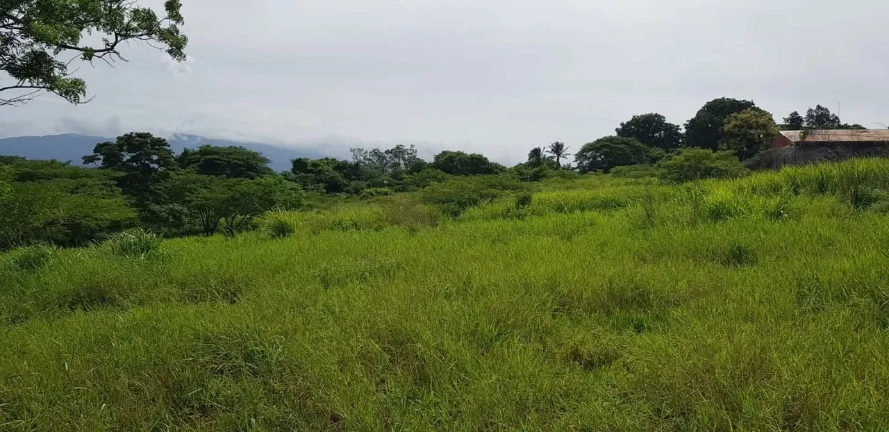 Description: Property with high-density and commercial (mixed) land use