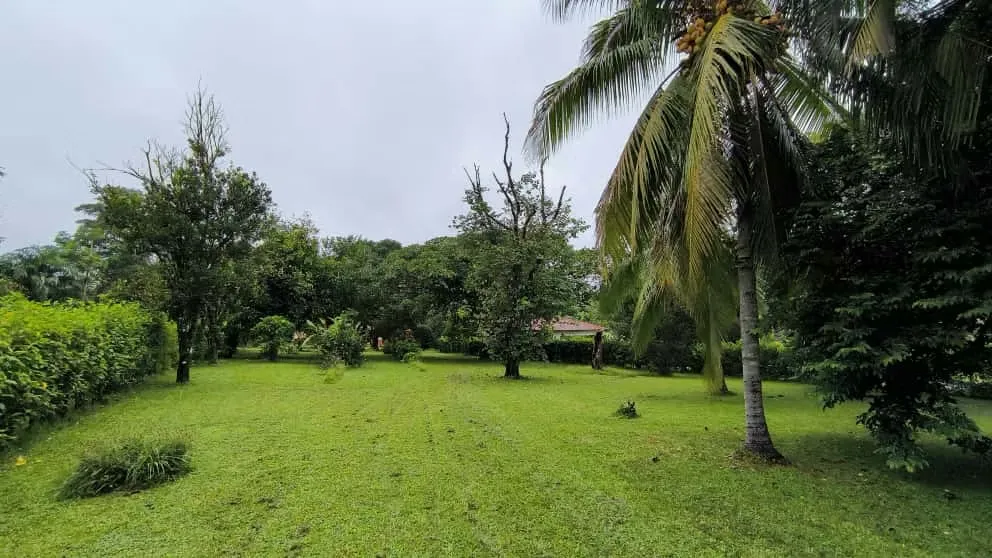 Venta Finca en San Pedro Turrubares