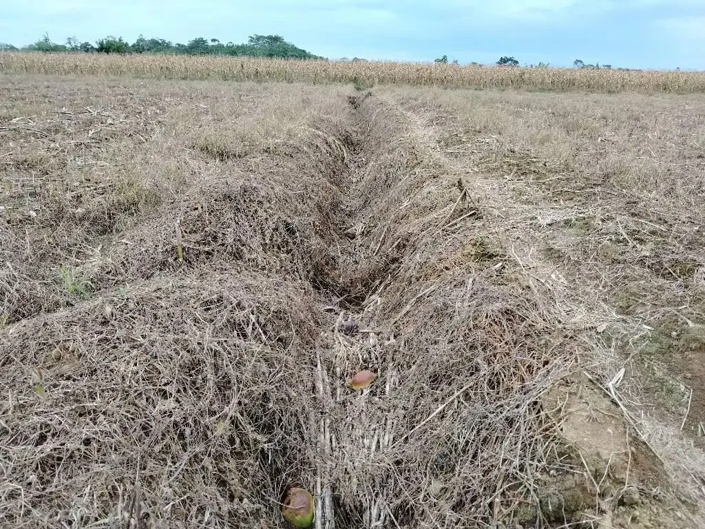 ¿Buscás una finca lista para producir y con excelente ubicación? Esta propiedad ubicada en ...
