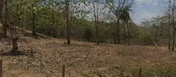 Venta de Terreno en San Miguel de Barranca, Puntarenas