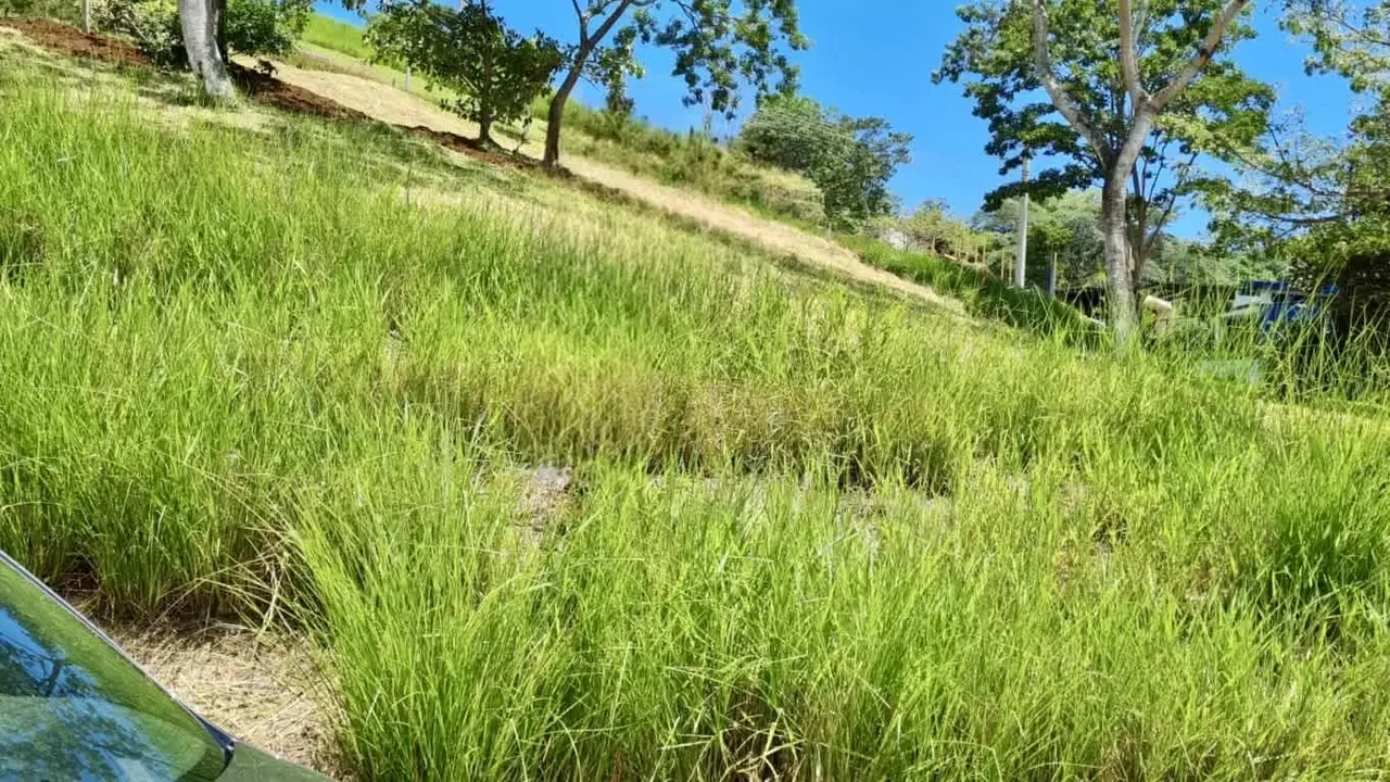 Lot for sale 577 m² in Exclusive Condominium in Naranjo
