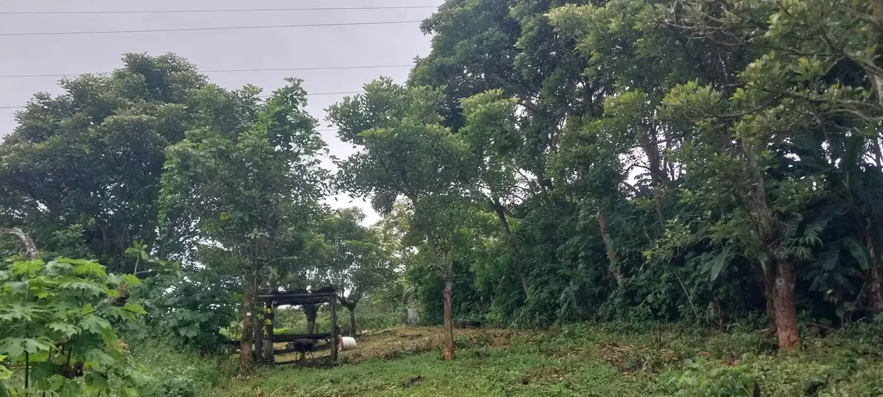 Lot for sale, Los Angele de Santo Domingo, 915 sq. mtrs2