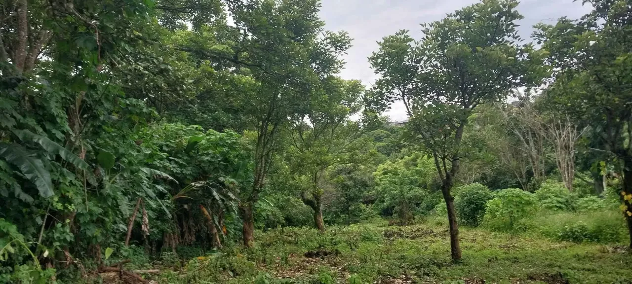 Land for Sale in Santo Domingo, Heredia for $165,000 — photo 3