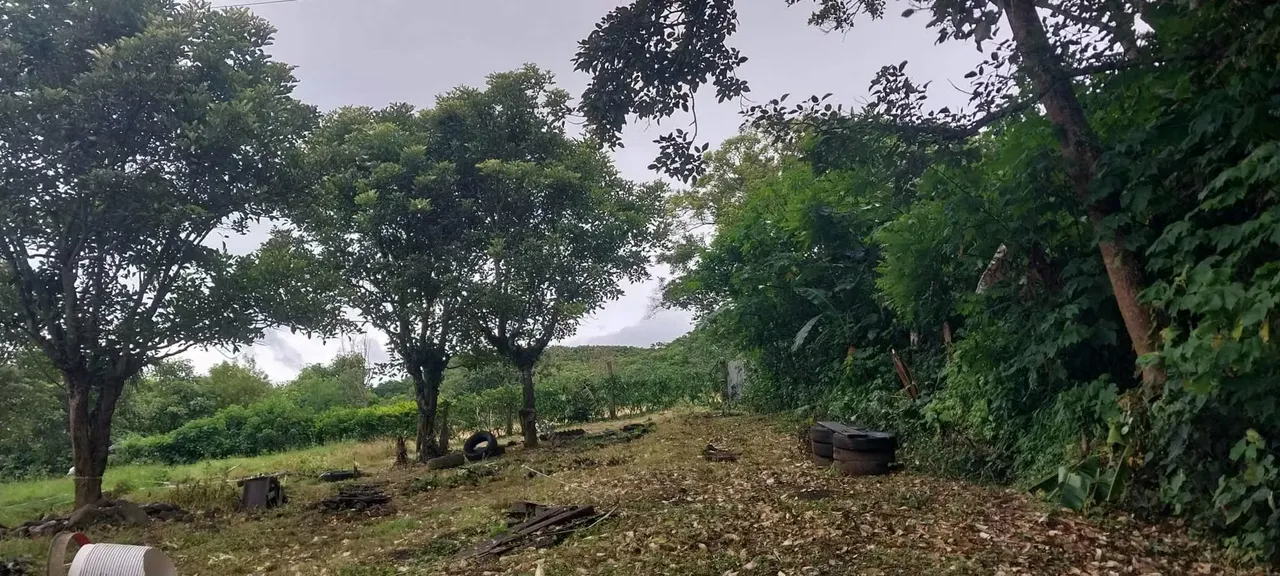 Land for Sale in Santo Domingo, Heredia for $165,000 — photo 4