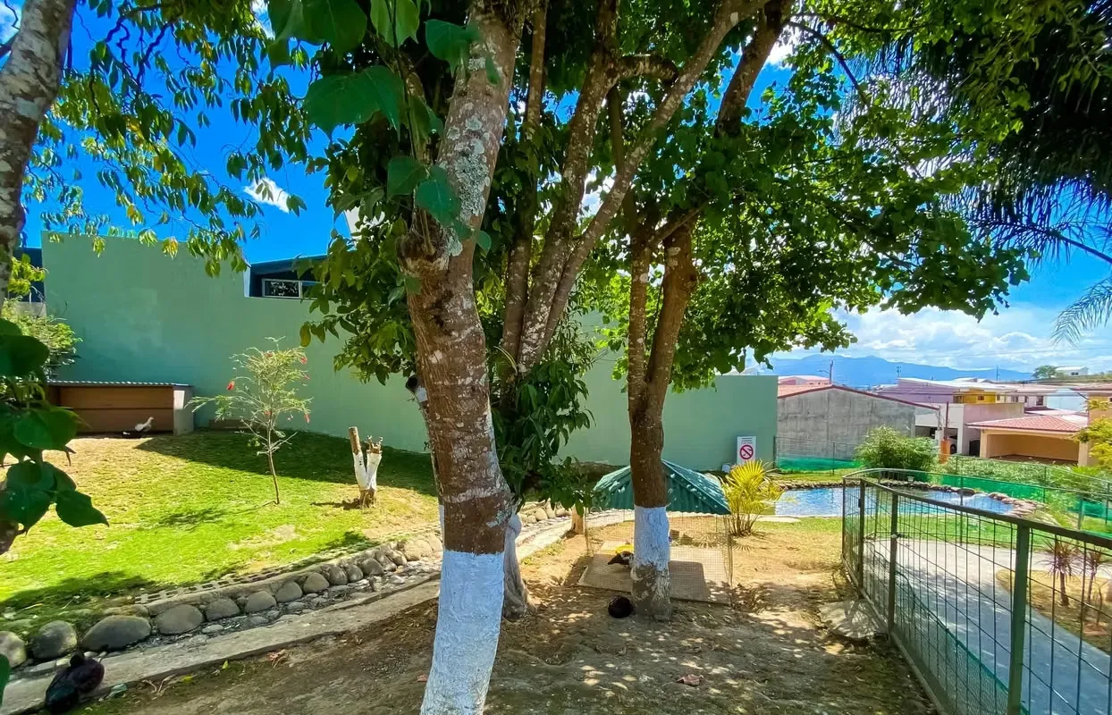 Lot for sale in Montes de Oca CONDOMINIUM — photo 2
