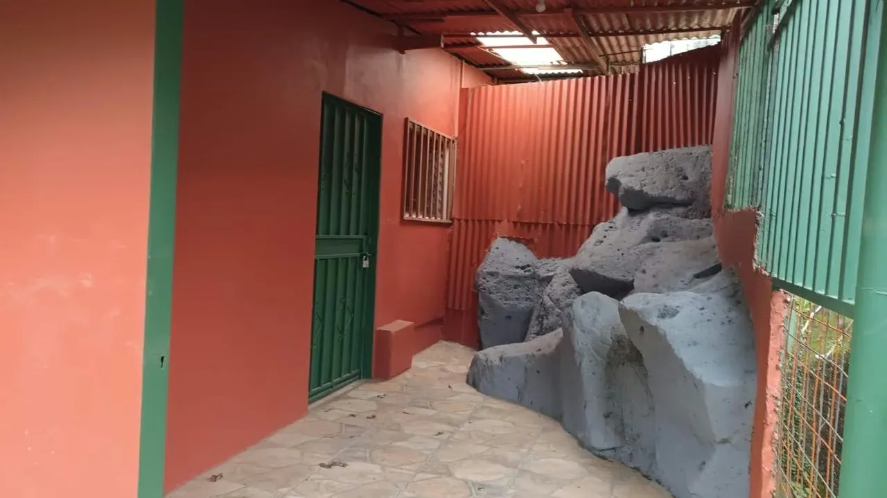 Alajuela, San Rafael, venta de oportunidad propiedad con 3 casas y un apartamento — photo 2