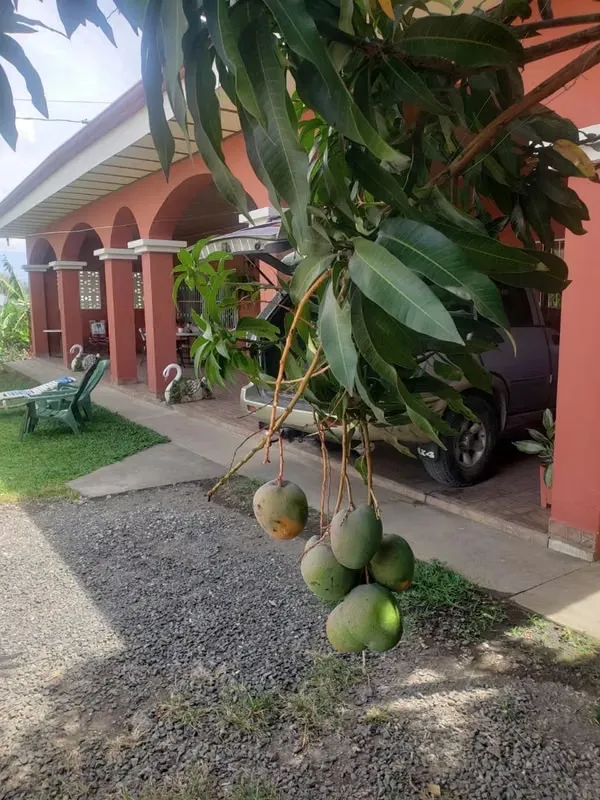 Alajuela, San Rafael, venta de oportunidad propiedad con 3 casas y un apartamento — photo 5