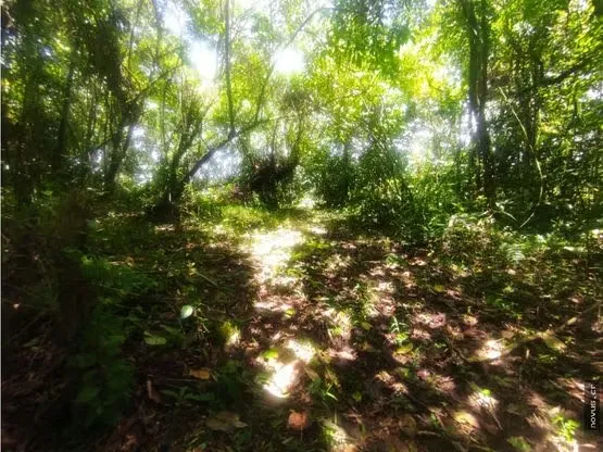 Lote en venta San Jerónimo de Moravia.