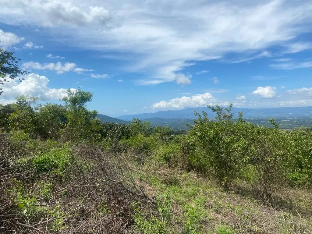 Espectacular lote con vistas, gran fachada y mayormente plano.