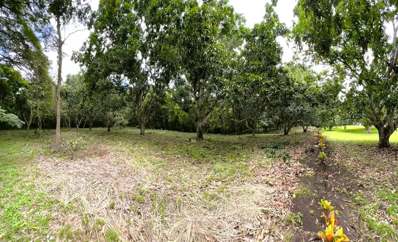 For Sale: Beautiful Lot in Hacienda Los Ceibos, Orotina (RQ)
