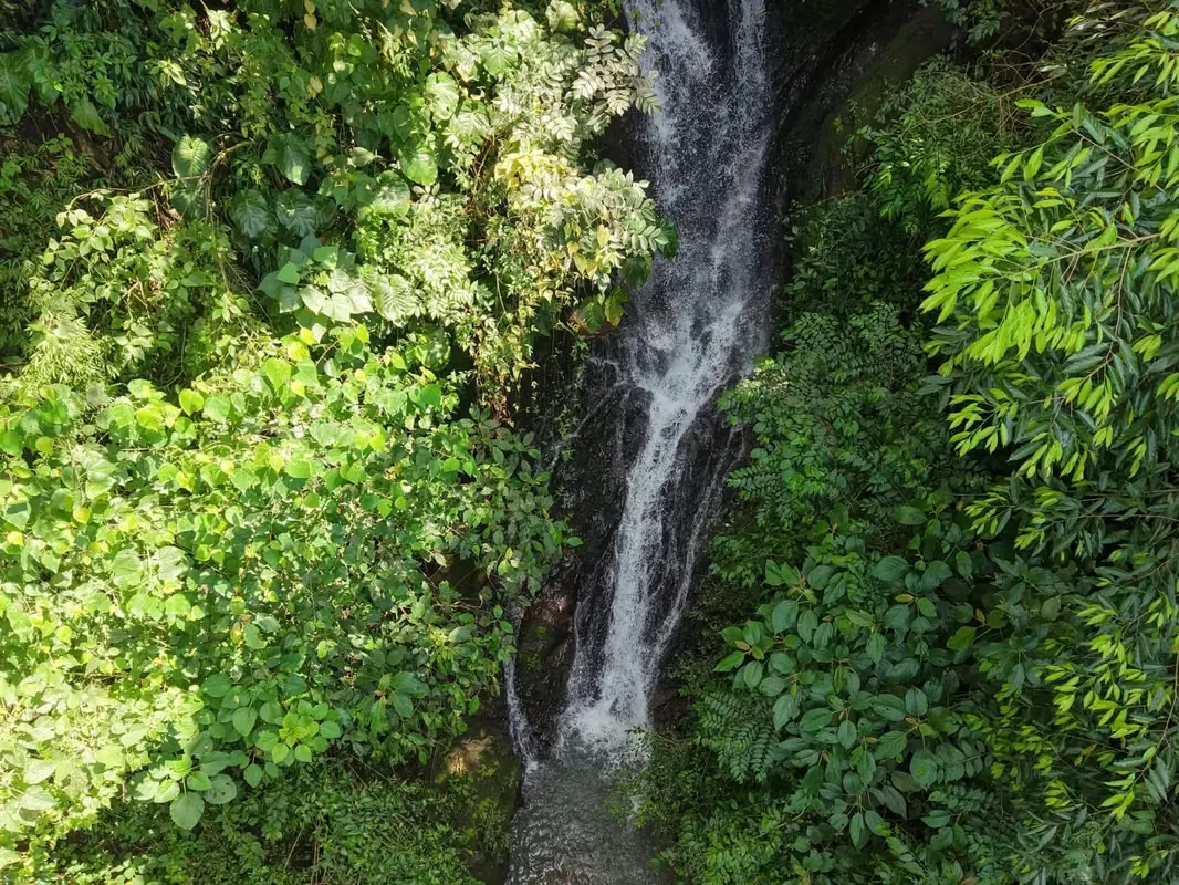 Farm with Private Waterfall for Sale – Santiago de Puriscal — photo 3
