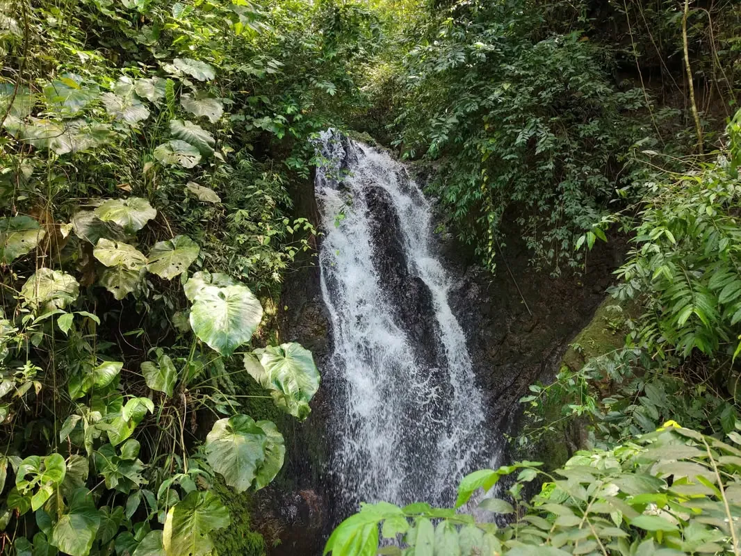 Farm with Private Waterfall for Sale – Santiago de Puriscal — photo 4
