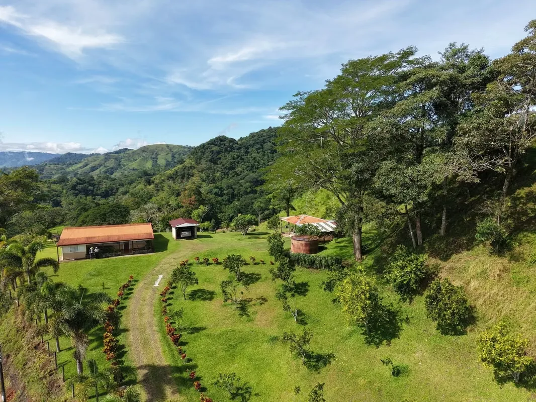 Farm with Private Waterfall for Sale – Santiago de Puriscal — photo 5