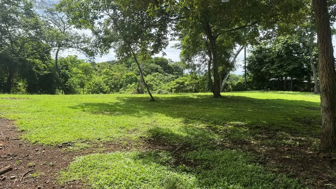 Land for Sale in San Mateo, Alajuela (MB)