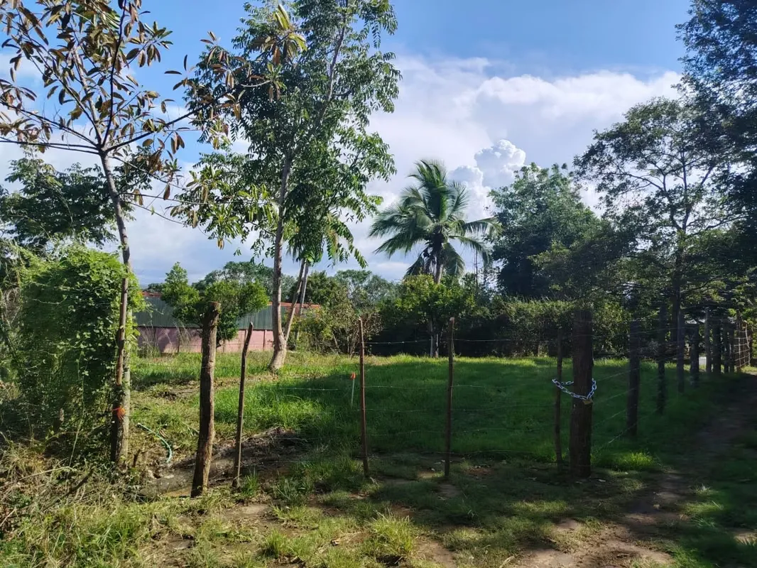 ¡Ganga! Lote plano de 632 m² para construcción - Concepción, Atenas