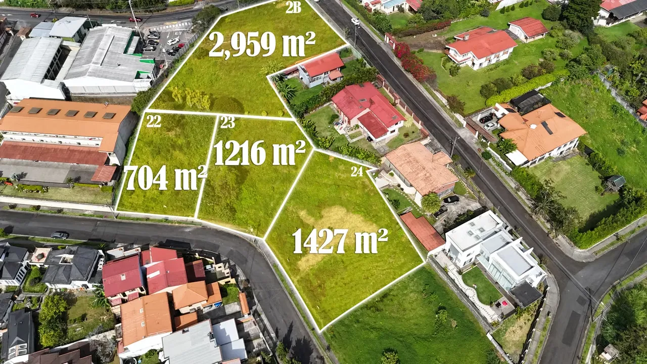Lote en Residencial Vista Real de San Ramón de 3 Ríos, Montes de Oca.