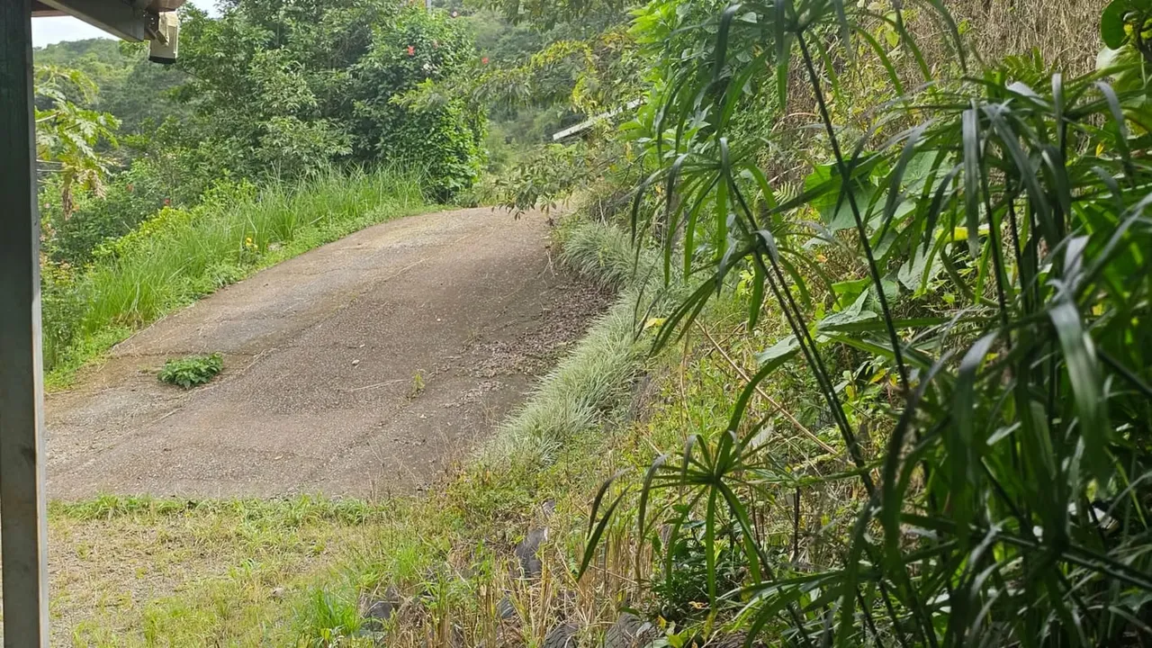 MA Asesoría le ofrece la oportunidad de adquirir un terreno de 1.772 metros cuadrados, ubicado entre San Ramón y Palmares, con acceso por la Ruta 1 o por Calle Zamora de San Ramón. ... — photo 3