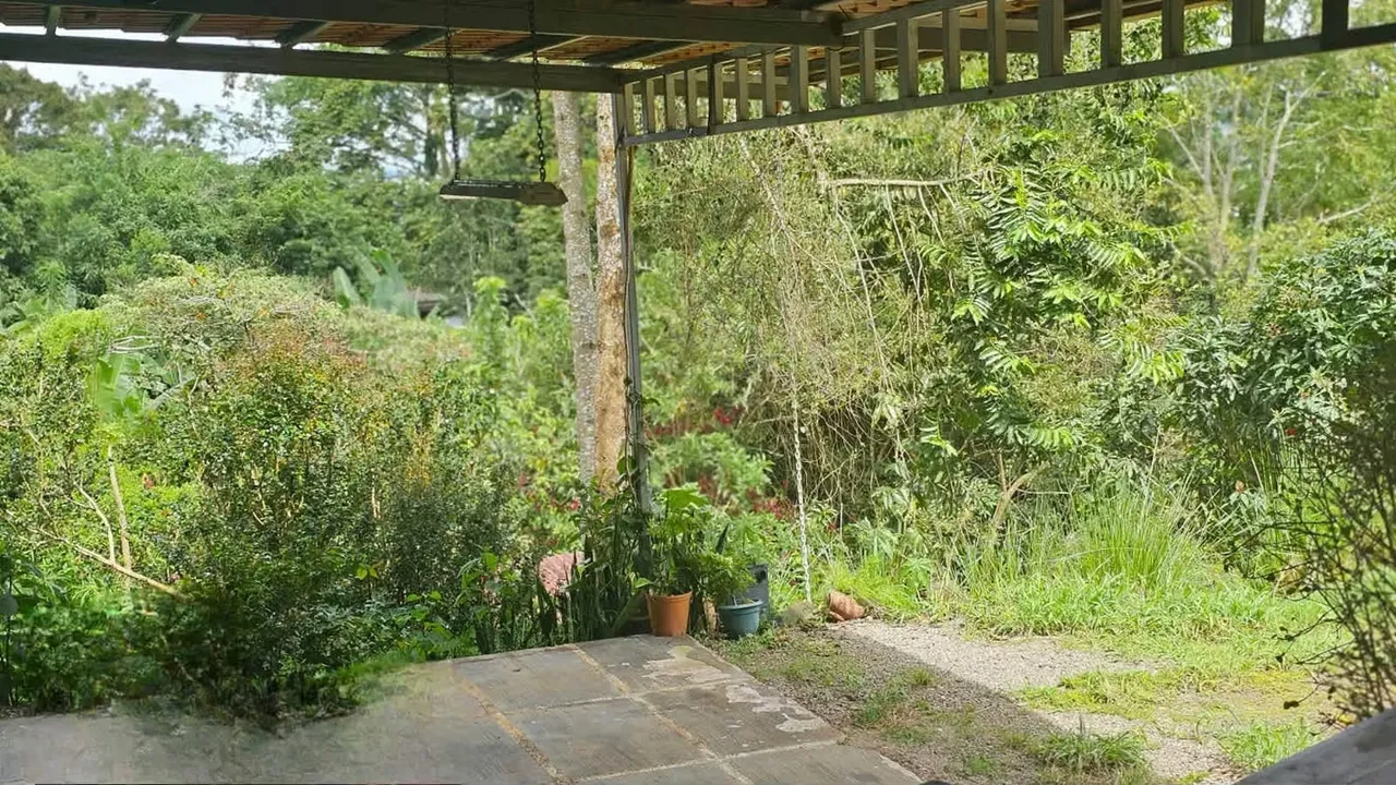 MA Asesoría le ofrece la oportunidad de adquirir un terreno de 1.772 metros cuadrados, ubicado entre San Ramón y Palmares, con acceso por la Ruta 1 o por Calle Zamora de San Ramón. ... — photo 4