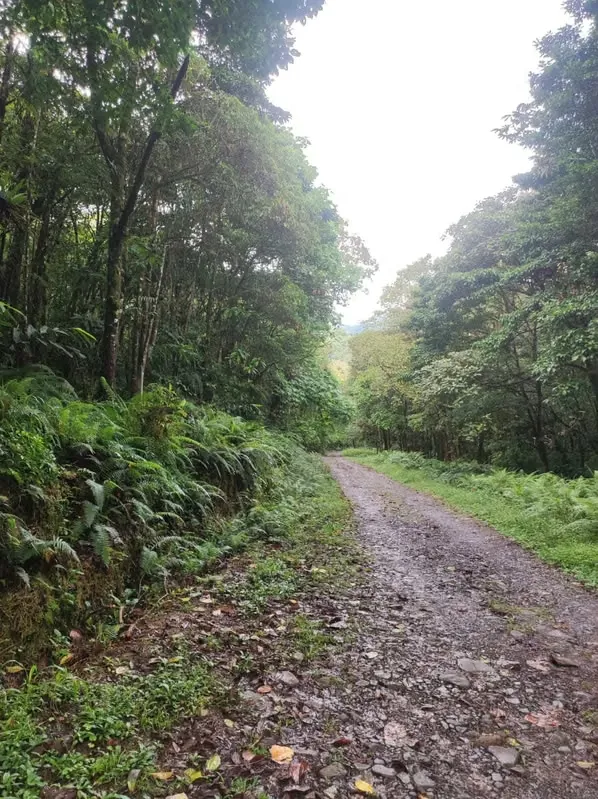 Venta de Quintas en Bajos del Toro, San Carlos, Alajuela