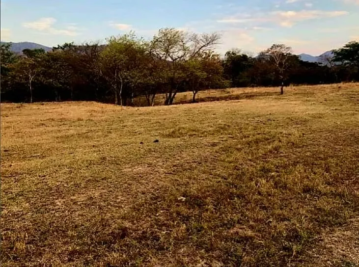 LOT FOR SALE, GUANACASTE, SANTA CRUZ, DIRIÁ - 9589309