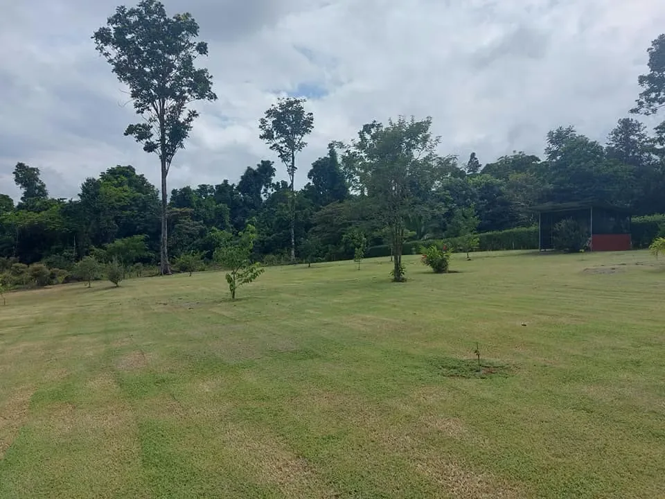 For sale a 5,000 m² property with a house in Horquetas de Sarapiquí. — photo 3