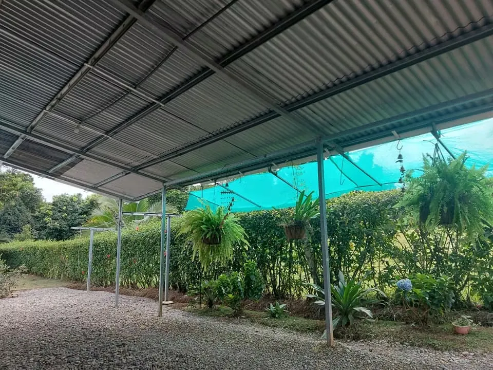 For sale a 5,000 m² property with a house in Horquetas de Sarapiquí. — photo 5
