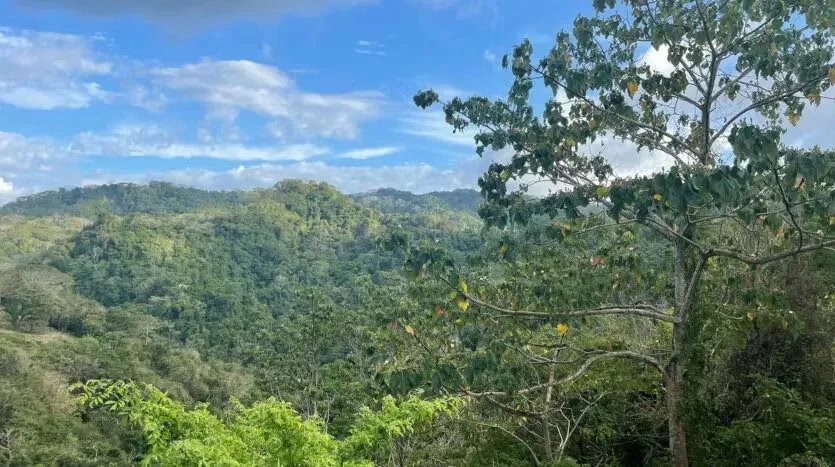 Discover a truly exceptional opportunity to own a 5,179 m² (1.28 acres) lot perched atop a hill in the coveted Malpais area. This unique property offers 360° panoramic ...